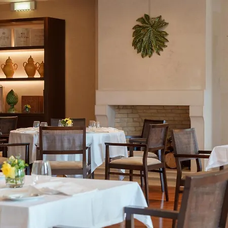 Hotel Dom Goncalo&spa 4*