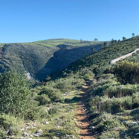 Dom Goncalo & Fátima