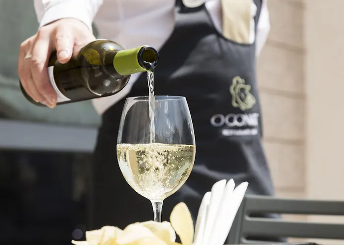 Dom Goncalo & 4* 파티마